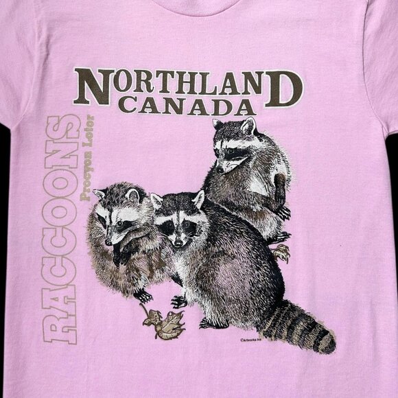90s vintage Northland Canada Raccoons T-shirt single stitch animal graphic. - Picture 4 of 7
